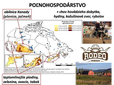 Historický vývoj a domestikácia hovädzieho dobytka