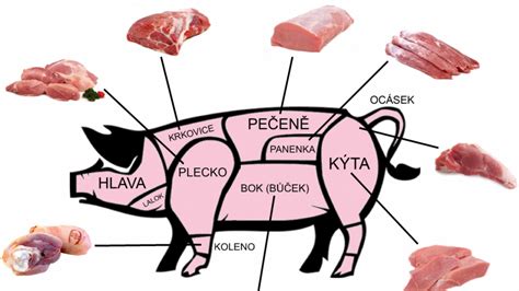 Schéma rozdelenia bravčového tela na jednotlivé druhy mäsa