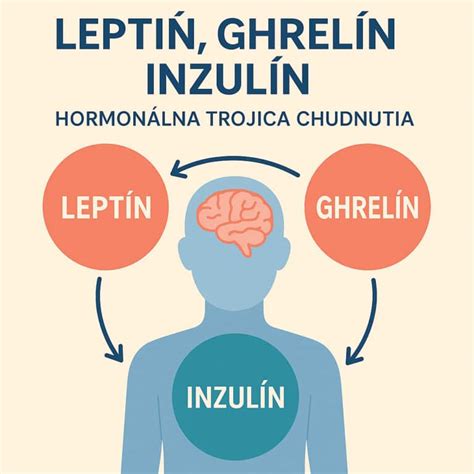 Hormonálna regulácia hladu a sýtosti