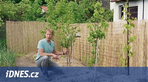 Živý plot z ovocných kríkov s kvitnúcimi kvetmi a dozrievajúcimi plodmi