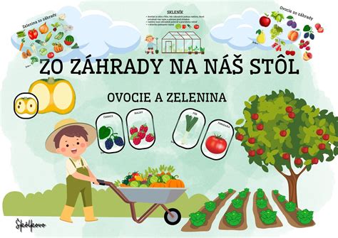 Zelenina čerstvo nazbieraná zo záhrady