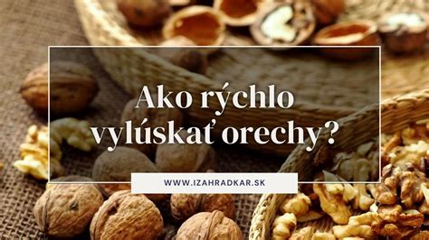 Tipy na lúpanie lieskových orechov