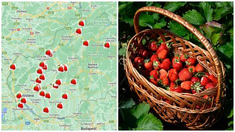 Ilustračná fotografia jahôd