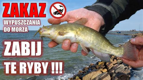 Ryba s viditeľnými príznakmi choroby