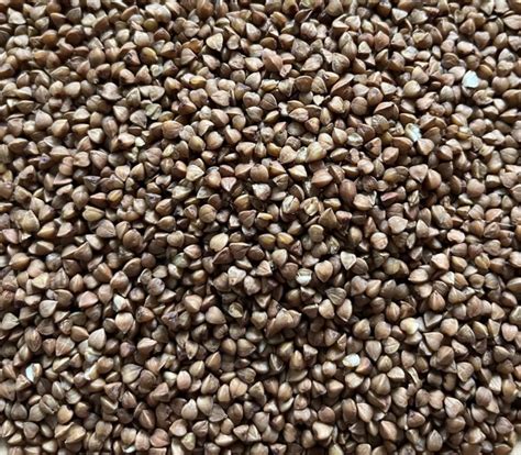 Pohánka a psyllium semená