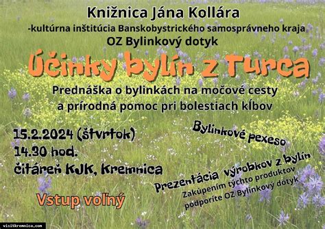Infografika: 5 najlepších močopudných bylín a ich účinky