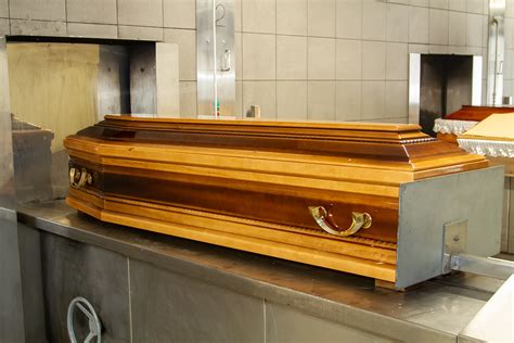 História gaštanov v Európe