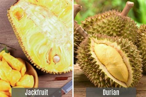Celý a rozkrojený durian ukazujúci dužinu
