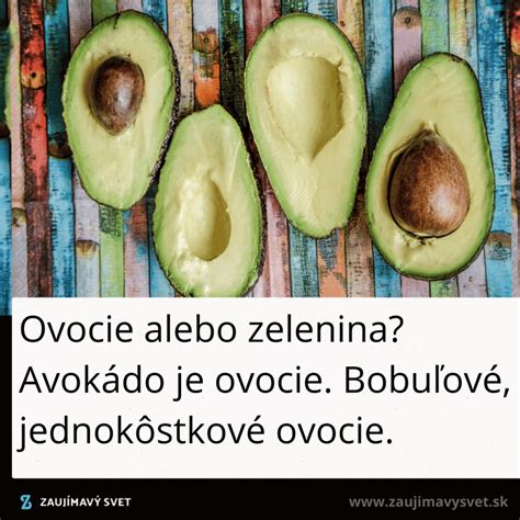 Avokádo ovocie alebo zelenina infografika
