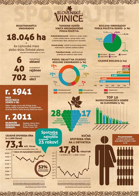 Infografika s fázami výroby vína