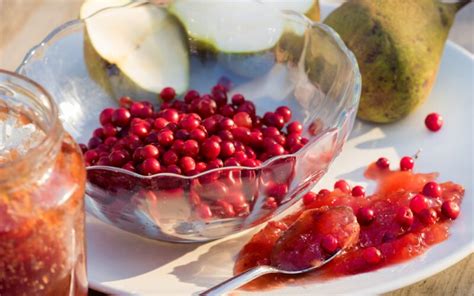 Brusnice na vetvičke