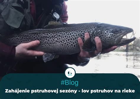 Neresisko pstruhov