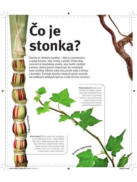 Ukážka marcipánových topánok