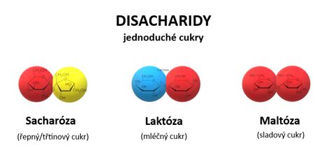 Molekulárna štruktúra rôznych druhov cukrov (monosacharidy, disacharidy, polysacharidy)