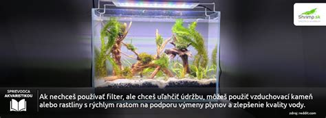 Akvárium bez filtra s hustou výsadbou rastlín