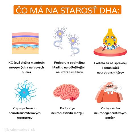 Vitamíny a minerály pre mozog