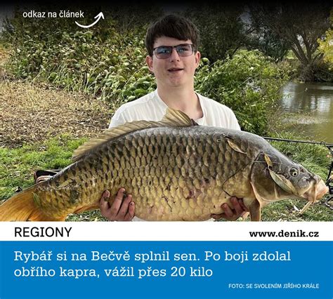 Rybár s úlovkom veľkého kapra z prúdu