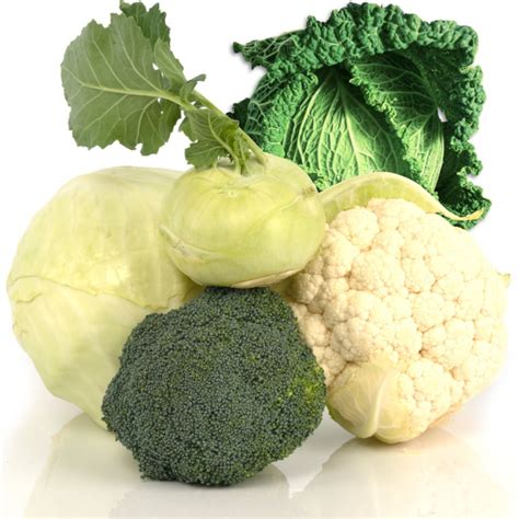Hlúbová zelenina: brokolica, karfiol, kapusta