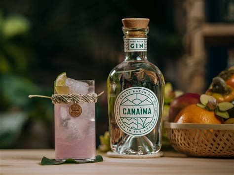 Koktail z ginu Canaïma