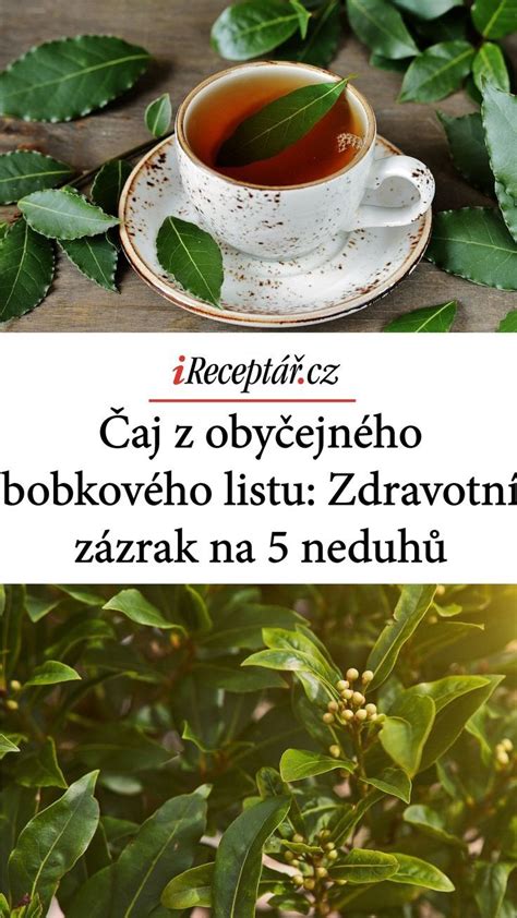 Graf: Frekvencia pitia čaju z bobkového listu pre rôzne účely