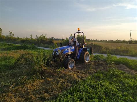 Mulčovanie okolo kríkov