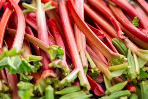 Nakrájaná rebarbora