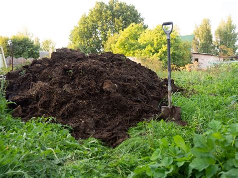 Fotografia rôznych typov organických hnojív (kompost, hnoj, zelené hnojivo)