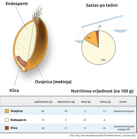 Infografika: Zloženie celozrnného zrna