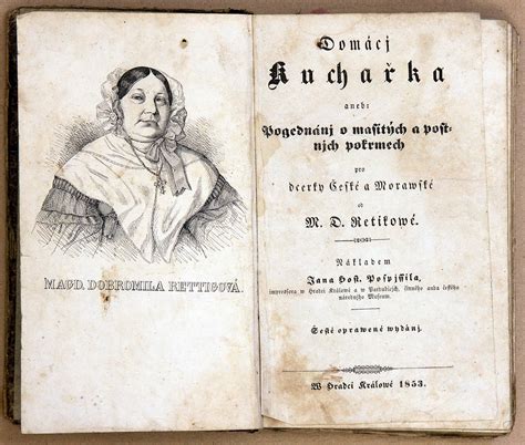 Portrét Magdaleny Dobromily Rettigovej