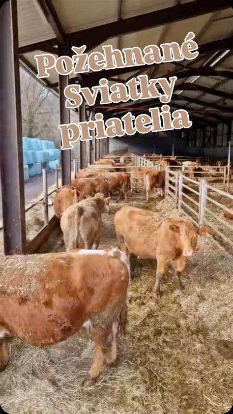 Farma Turová - pohľad na zvieratá