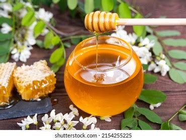 Med a škorica na drevenom stole