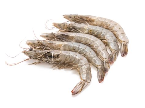Čerstvé krevety