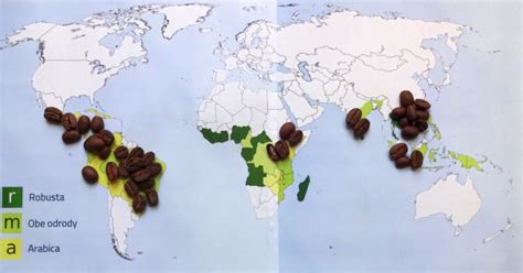 Mapa krajín, kde sa pestuje kakao s certifikáciou Rainforest Alliance