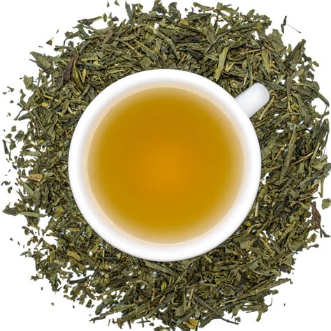 Schematický prehľad spracovania zeleného čaju Sencha
