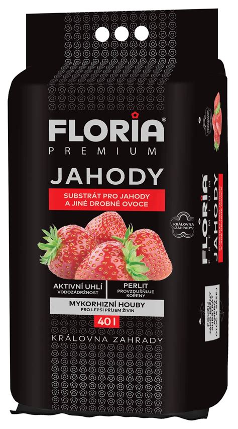 Jahody pre dokonalú plnku