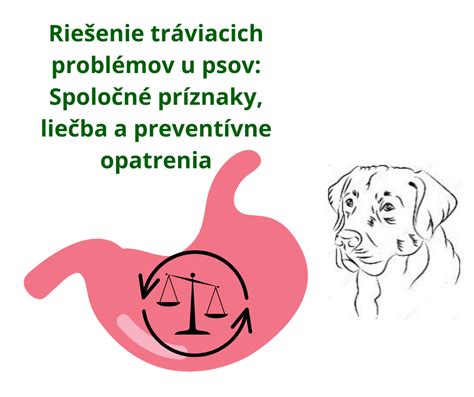 Infografika zobrazujúca bežné príčiny tráviacich problémov u psov
