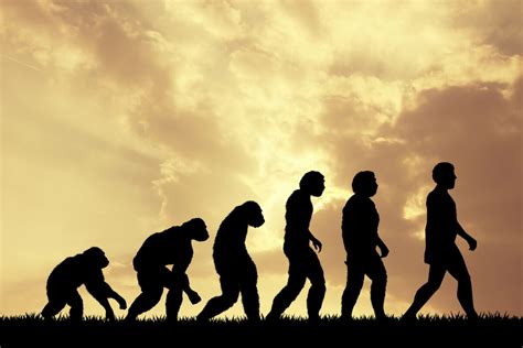 Evolúcia čeľustí u raných stavovcov