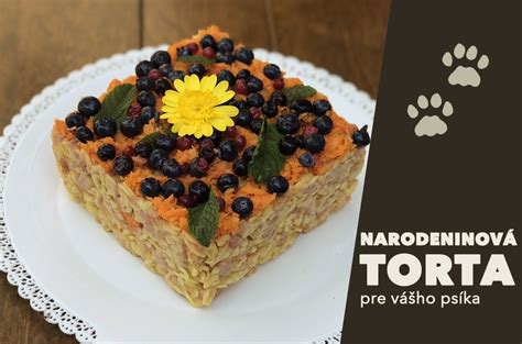 Domáca torta pre psa