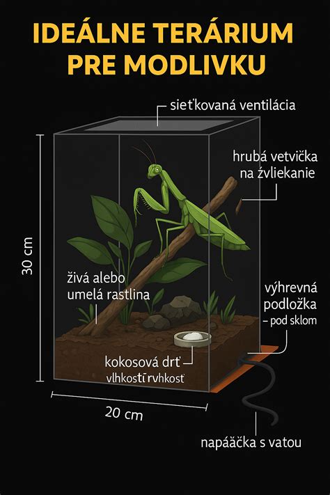 Ideálne podmienky pre terárium pytóna kráľovského