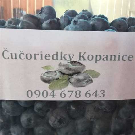 Slovenské čučoriedky