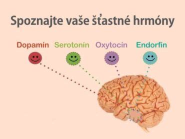 Ilustrácia hormónov šťastia v mozgu
