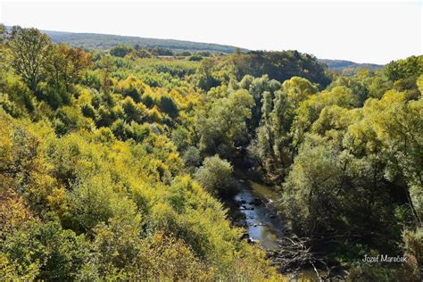 Rieka Olšava s meandrami v krajine