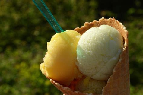 Citrónovo-bazalkový sorbet
