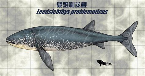 Leedsichthys problematicus - ilustrácia