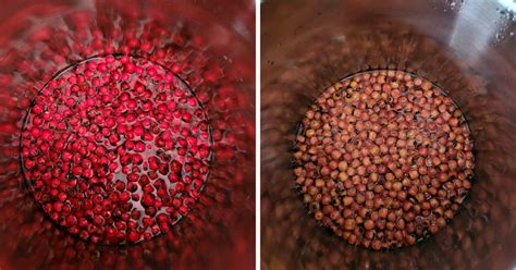 Proces pasírovania ríbezlí