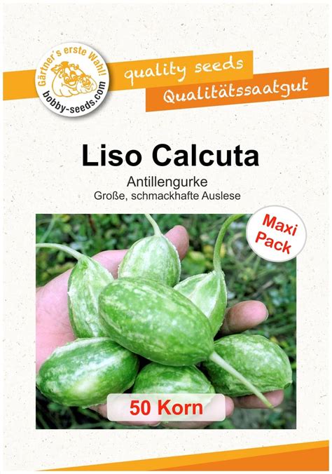 Africké nakladačky 'Liso Calcuta'