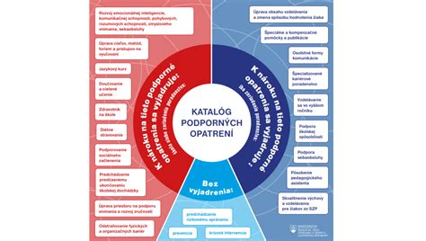 Schéma: Možnosti podpory pre opatrovateľky na Slovensku