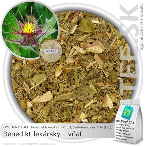 Benedikt lekársky - vzhľad a rastlina