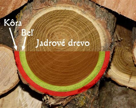 Základná štruktúra vrstvenej torty
