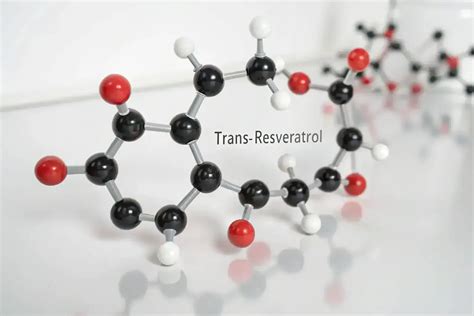 Chemické zloženie cibule a jej účinky